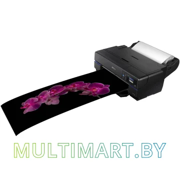 Принтер EPSON SureColor SC-P800 картинка 2